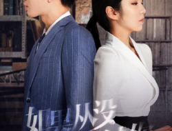 Sinopsis Drama China If I Never Loved You beserta Pemain Utama