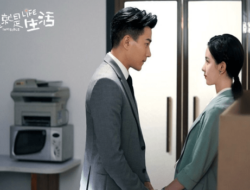 Invisible Life Review (President’s Secret Wife Chinese Drama)