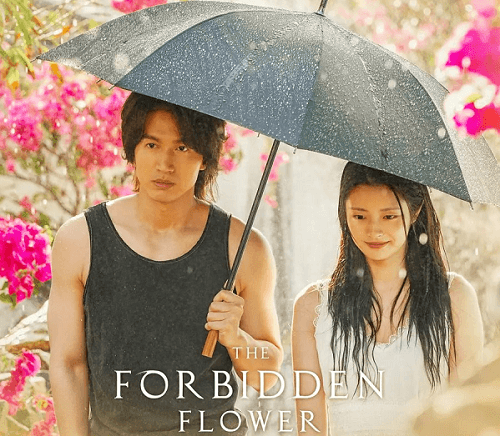 The Forbidden Flower review