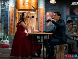 To Love Chinese Drama Review and Ending Explained