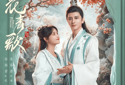Different Princess Chinese Drama Review and Ending Explained