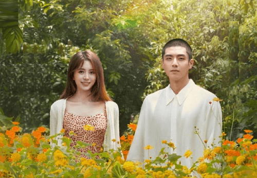 Dear Mr Hermitage Chinese Drama Review and Ending Explained
